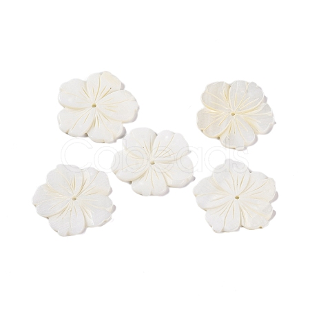 Natural Freshwater Shell Carved Beads BSHE-S304-16-1