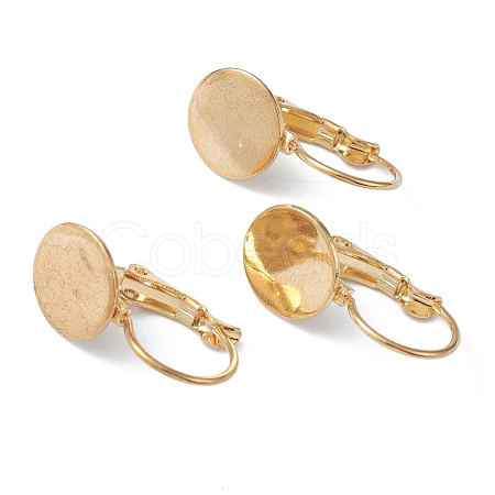 304 Stainless Steel Leverback Earring Findings LS-X-KK-H152-08A-G-1