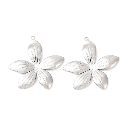 304 Stainless Steel Pendants STAS-A133-02C-P-1