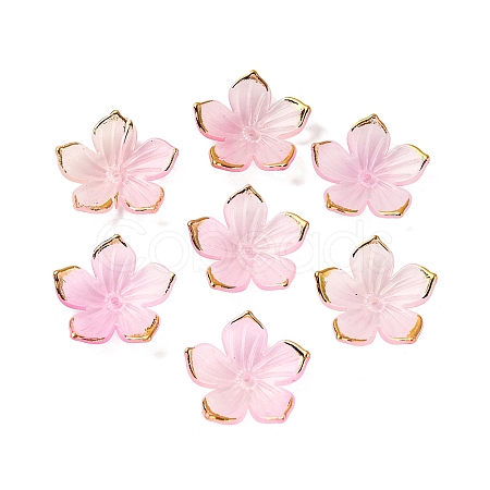 Transparent Acrylic Bead Caps TACR-P011-03B-1