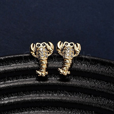 Brass Micro Pave Clear Cubic Zirconia Earrings EJEW-D328-03G-04-1