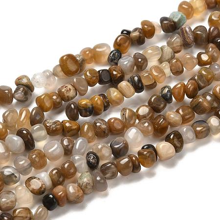 Natural Petrified Wood Beads Strands G-G031-01-1