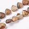 Natural Picture Jasper Beads Strands, Top Drilled Beads, Faceted, Teardrop, 10~10.5x10~10.5x5mm, Hole: 0.6mm, about 39pcs/strand, 15.94 inch(40.5cm)