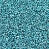 MIYUKI Delica Beads SEED-JP0008-DB0427-3