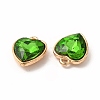 Faceted Glass Rhinestone Pendants GLAA-I051-B09-3