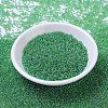 MIYUKI Round Rocailles Beads SEED-G007-RR0179L-2