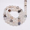 Natural White Agate Beads Strands G-G580-6mm-01-2