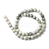 Natural Peace Jade Beads Strands X-G-E598-04B-3