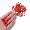Glass Seed Beads SEED-A010-2mm-45-4