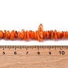 Natural Freshwater Shell Beads Strands BSHE-I016-01F-2