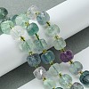 Natural Fluorite Beads Strands G-Q010-A12-01-2