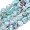 Natural Larimar Beads Strands X-G-L493-37-1