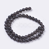 Natural Ice Obsidian Bead Strands X-G-E468-D01-2