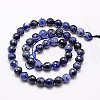 Natural Sodalite Beads Strands G-G542-8mm-28-2