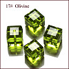 K9 Glass SWAR-F074-8x8mm-17-1