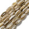 Natural Freshwater Shell Beads Strands SHEL-C005-04-1