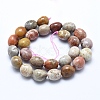 Natural Chrysanthemum Stone Beads Strands X-G-E483-75A-2