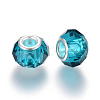 Handmade Glass European Beads X-GPDL25Y-77-2