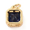 Real 18K Gold Plated Brass Inlaid Cubic Zirconia Charms ZIRC-L100-073G-3