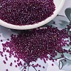 MIYUKI Delica Beads SEED-MY11-DB1747-1