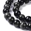 Natural Silver Obsidian Beads Strands G-D083-01C-3
