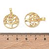 Brass Micro Pave Cubic Zirconia Pendants CU-CBA84C5-09G-01-3