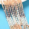 Natural Cultured Freshwater Pearl Beads Strands PEAR-C004-14B-1