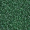 (Repacking Service Available) Glass Seed Beads SEED-C015-2mm-107B-2