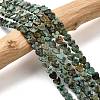 Natural African Turquoise(Jasper) Beads Strands G-A272-A01-25-2
