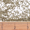 MIYUKI Delica Beads SEED-X0054-DB0384-4