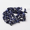 Chip Natural Blue Spot Stone Bead Strands G-M344-18-2