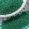 MIYUKI Round Rocailles Beads X-SEED-G009-RR0354-1