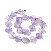 Natural Fluorite Beads Strands G-L239-10-3