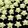 Transparent Acrylic Beads TACR-S152-11A-07-1