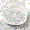 Opaque Colours Luster Glass Seed Beads SEED-B001-01A-06-2