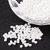 DIY Craft Beads 12/0 Opaque Colors Lustered Round Glass Seed Beads X-SEED-A012-2mm-121-1