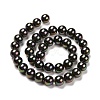 Shell Pearl Bead Strands X-BSHE-L025-05-10mm-5