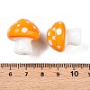Handmade Lampwork Beads Strands LAMP-T021-13E-3