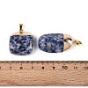 Natural Blue Spot Jasper Pendants G-N360-05G-05-01-3