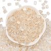 Transparent Spray Painted Glass Seed Beads SEED-L011-10A-05-2