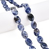 Natural Blue Spot Jasper Beads Strands G-M206-40-1
