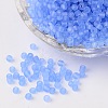 8/0 Frosted Round Glass Seed Beads X-SEED-A008-3mm-M6-1