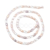 Gradient Color Electroplate Glass Bead Strands X-GLAA-E042-01E-2