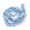 Dyed Natural Aquamarine Beads Strands G-G011-12-2