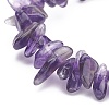 Natural Amethyst Chips Beaded Jewelry Set SJEW-JS01232-03-7