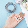 4.6~5M Laser Flat Imitation Leather Cord LC-GF0001-06A-02-3