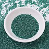 MIYUKI Delica Beads X-SEED-J020-DB0919-2