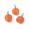 Opaque Resin Vegetable Pendants PALLOY-JF02766-01-1