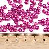 6/0 Glass Seed Beads E06900F4-3