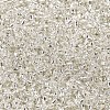 12/0 Glass Seed Beads SEED-A005-2mm-21-2